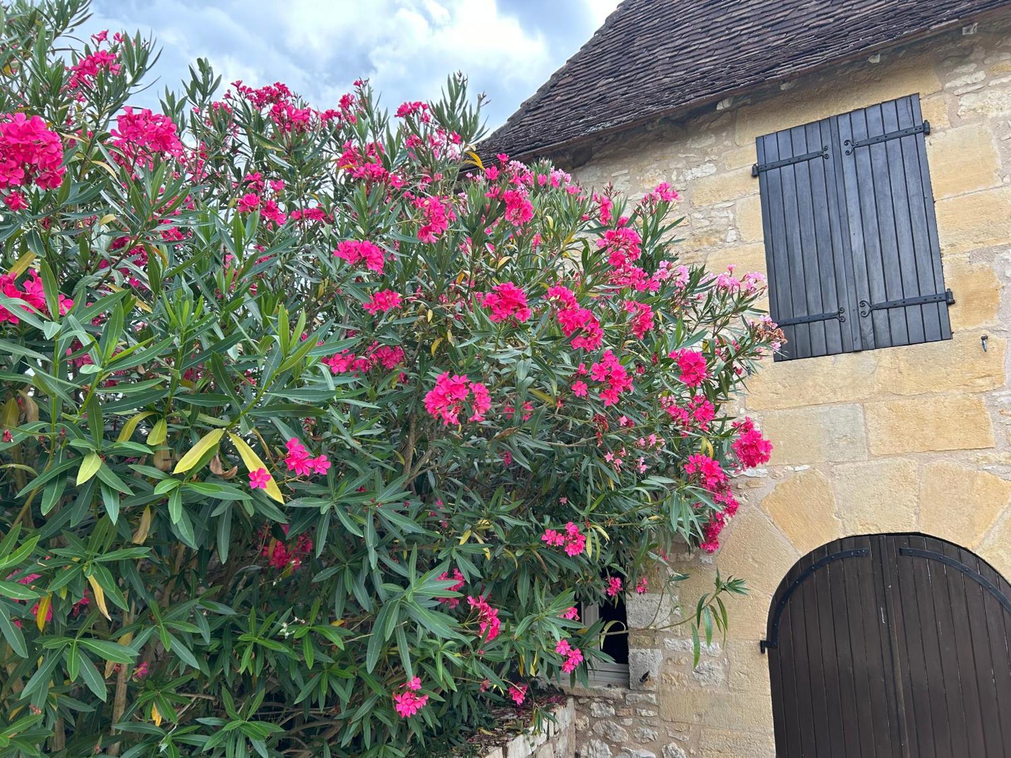 Demeure Du Vallon - Chambres D'Hotes De Charme Azerat Eksteriør bilde